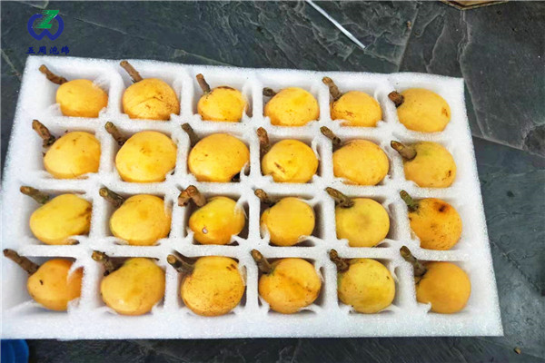 警惕：珍珠棉水果托的制作材料有毒嗎？